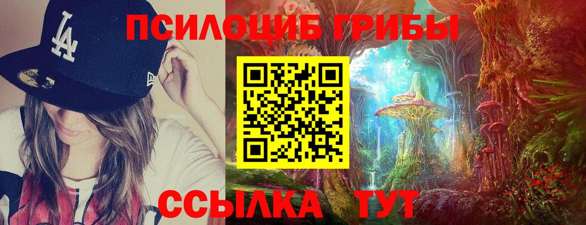 Псилоцибиновые грибы GOLDEN TEACHER  Вход с VPN  Ростов Великий  Псилоцибиновые грибы мицелий 